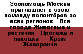 Зоопомощь.Москва приглашает в свою команду волонтёров со всех регионов - Все города Животные и растения » Пропажи и находки   . Крым,Жаворонки